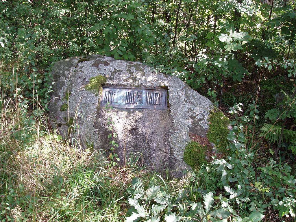36