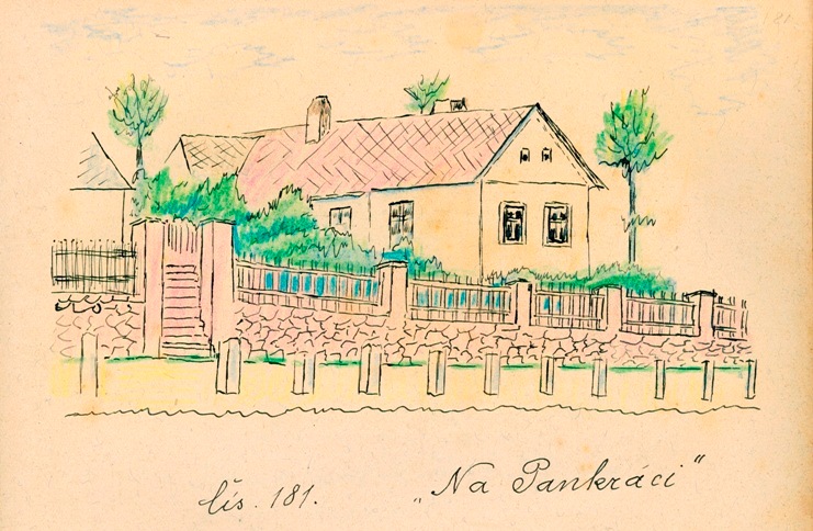 181 (1)