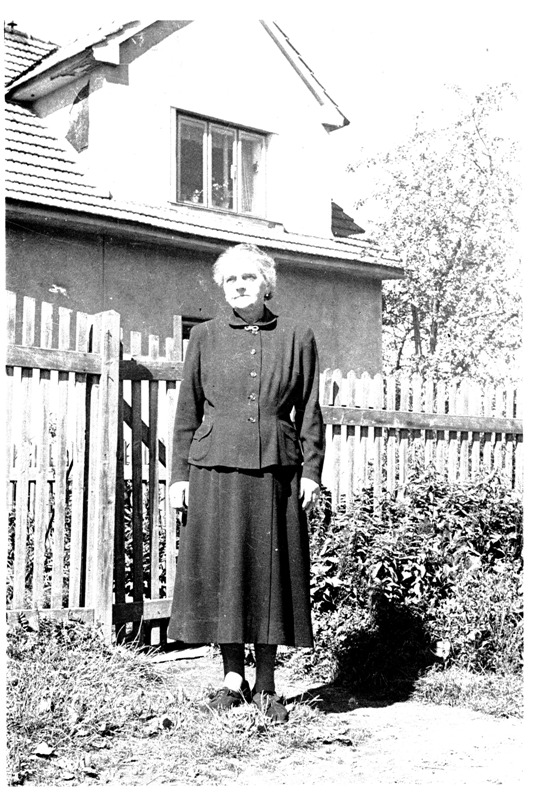 Schollová